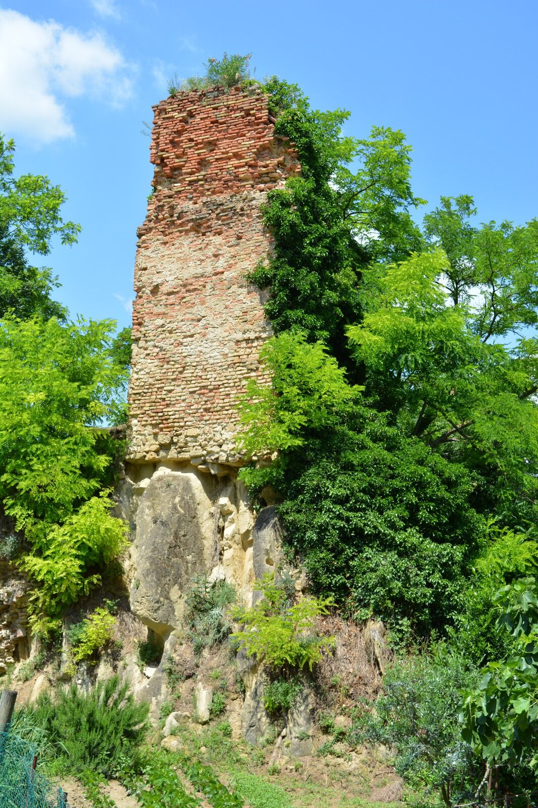 a4a925a7-87c2-4f31-b1e8-fecaea26b51d